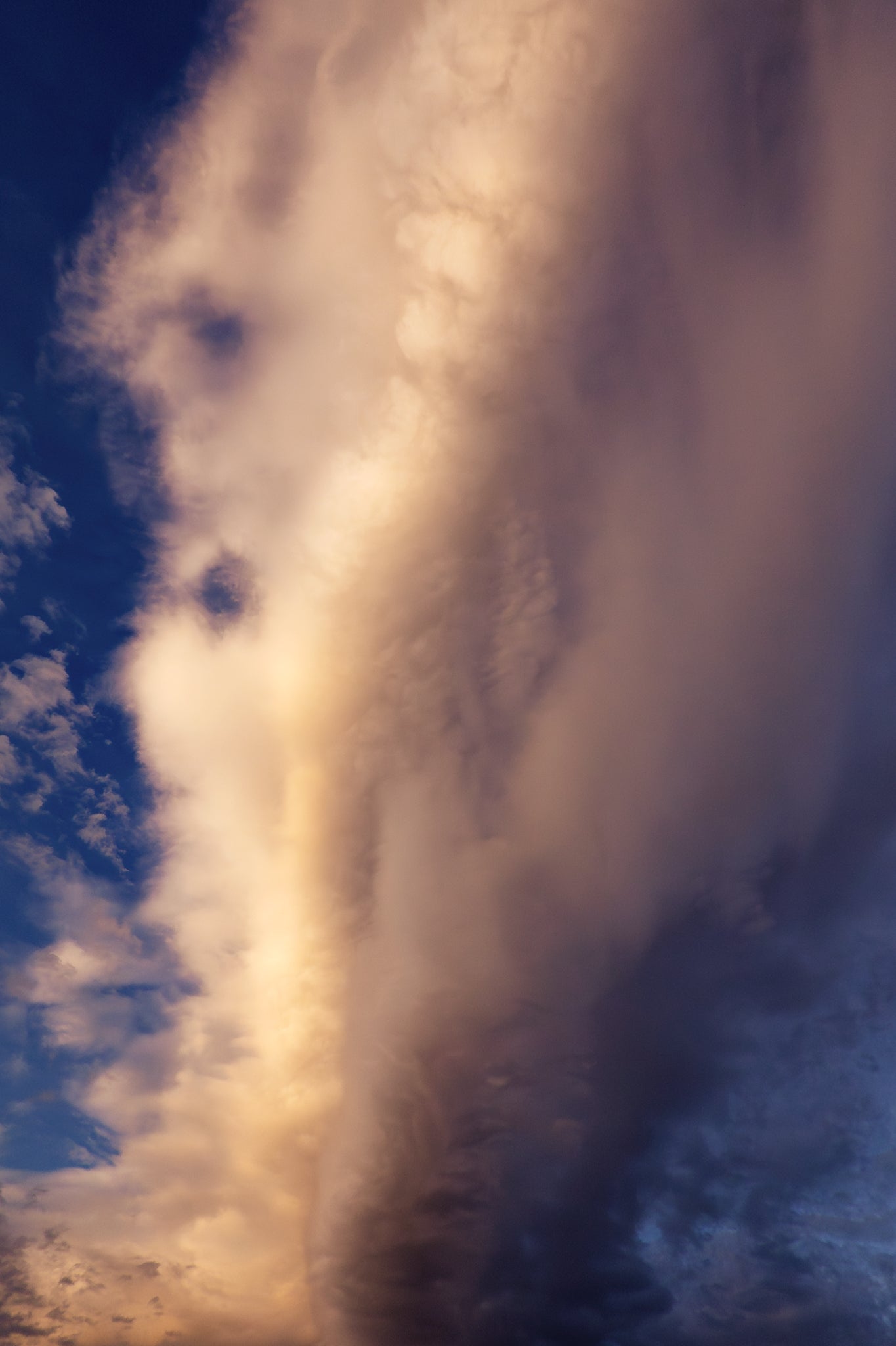 The Infamous 🍆 Cloud