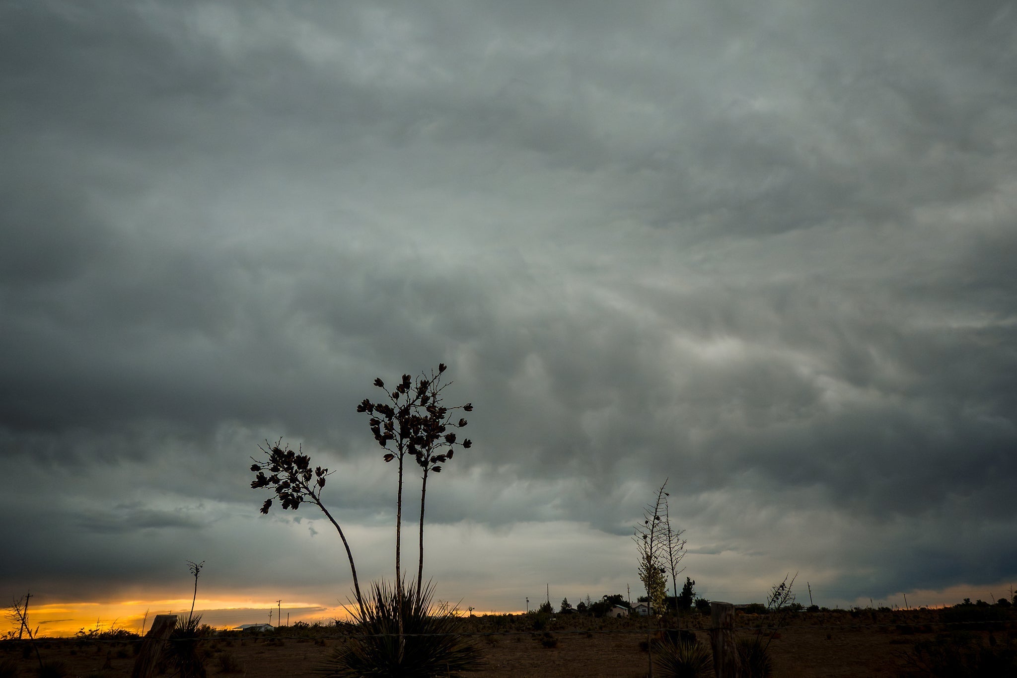 The End of Spring